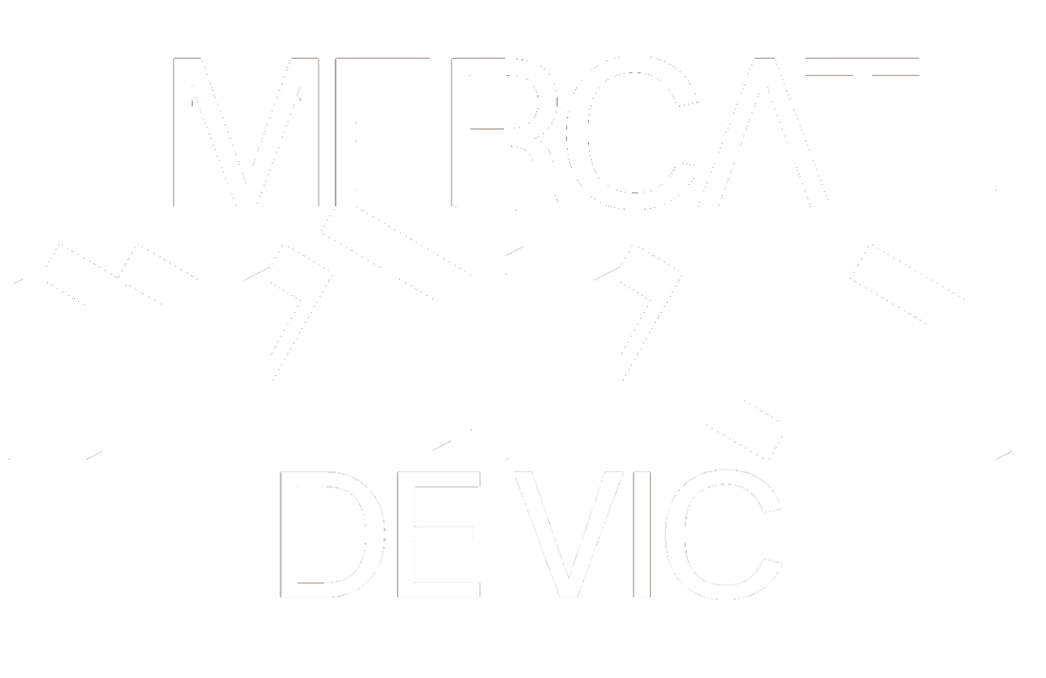 Vicfires