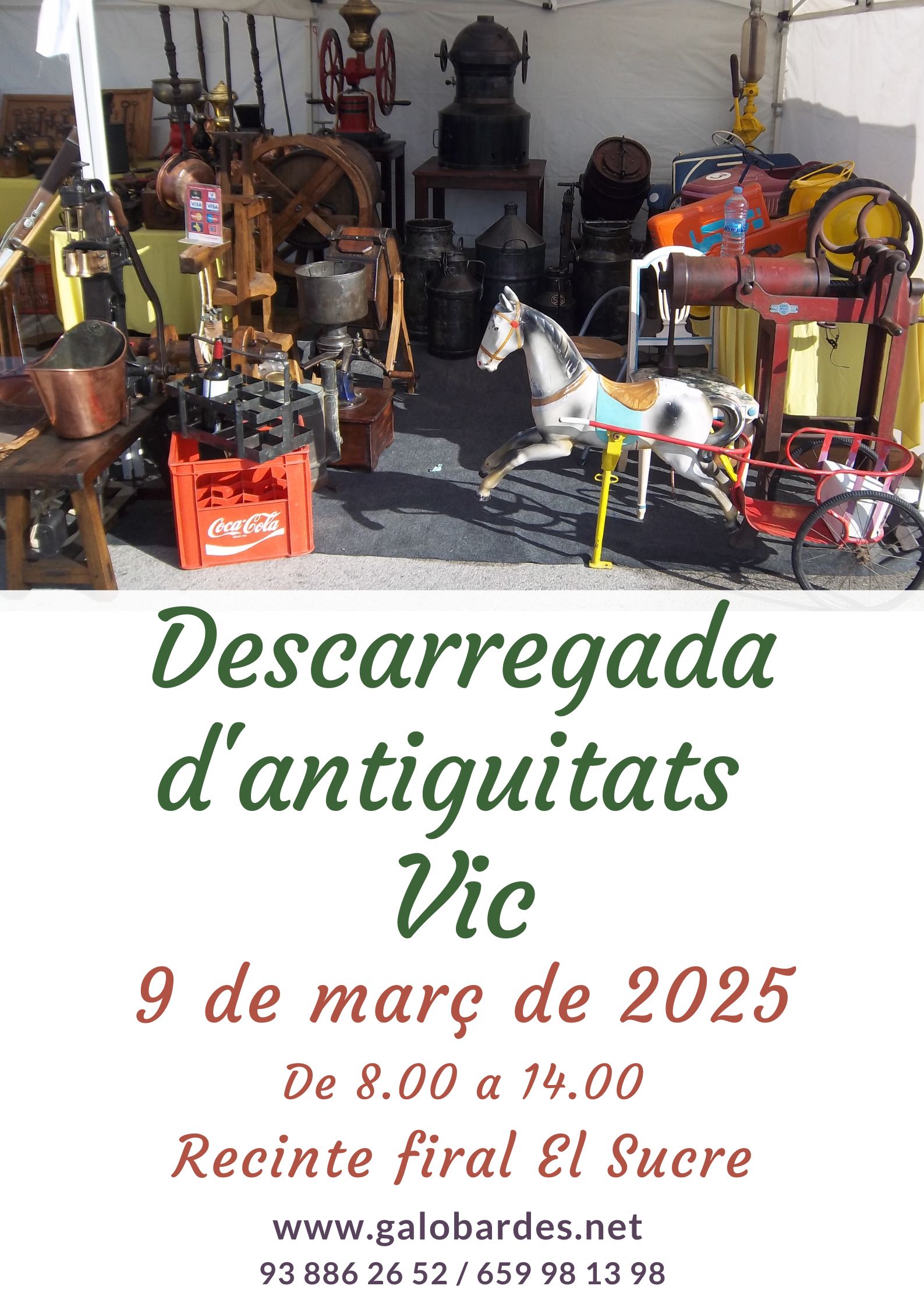 Descarregada d'Antiguitats Vic 2025